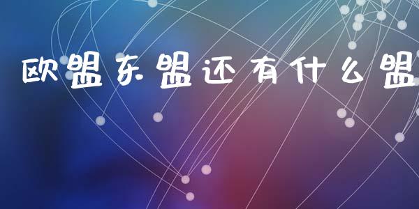 欧盟东盟还有什么盟_https://www.qmgjg.com_恒生指数期货_第1张