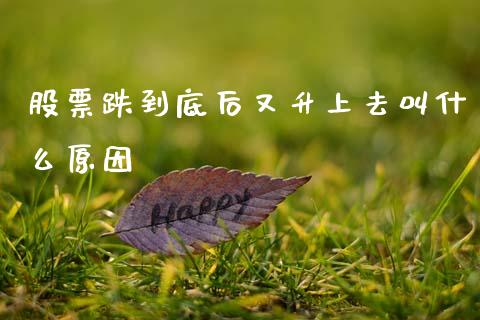 股票跌到底后又升上去叫什么原因_https://www.qmgjg.com_恒生指数是什么_第1张