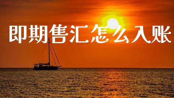 即期售汇怎么入账_https://www.qmgjg.com_恒生指数是什么_第1张