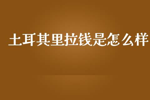 土耳其里拉钱是怎么样_https://www.qmgjg.com_恒生指数期货_第1张