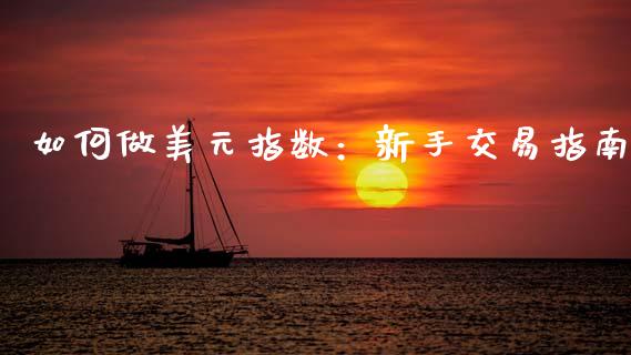 如何做美元指数：新手交易指南_https://www.qmgjg.com_港股恒生指数_第1张