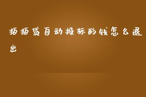 拍拍贷自动投标的钱怎么退出_https://www.qmgjg.com_香港恒生指数_第1张