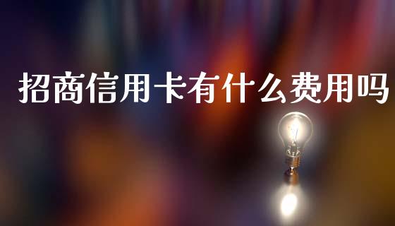招商信用卡有什么费用吗_https://www.qmgjg.com_香港恒生指数_第1张