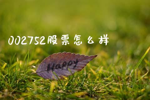 002752股票怎么样_https://www.qmgjg.com_香港恒生指数_第1张