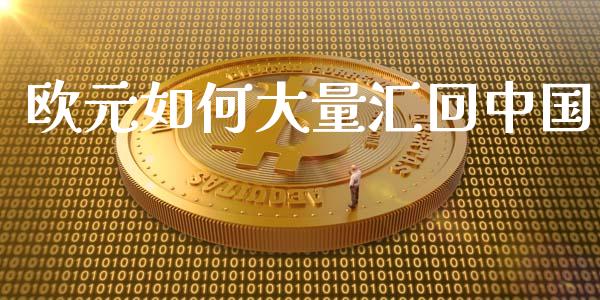 欧元如何大量汇回中国_https://www.qmgjg.com_恒生指数是什么_第1张