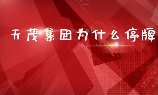 天茂集团为什么停牌_https://www.qmgjg.com_港股恒生指数_第1张