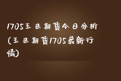 1705玉米期货今日分析(玉米期货1705最新行情)_https://www.qmgjg.com_香港恒生指数_第1张