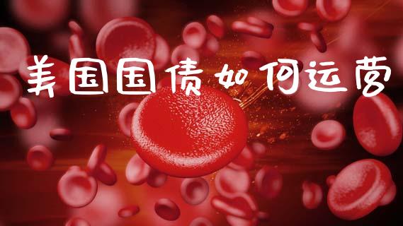 美国国债如何运营_https://www.qmgjg.com_香港恒生指数_第1张