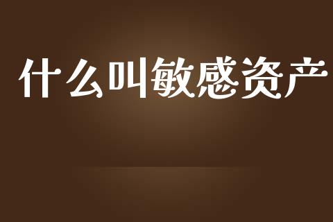 什么叫敏感资产_https://www.qmgjg.com_恒生指数期货_第1张