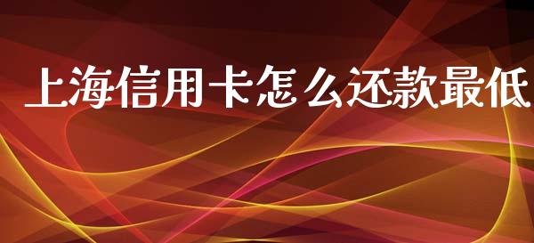上海信用卡怎么还款最低_https://www.qmgjg.com_恒生指数期货_第1张